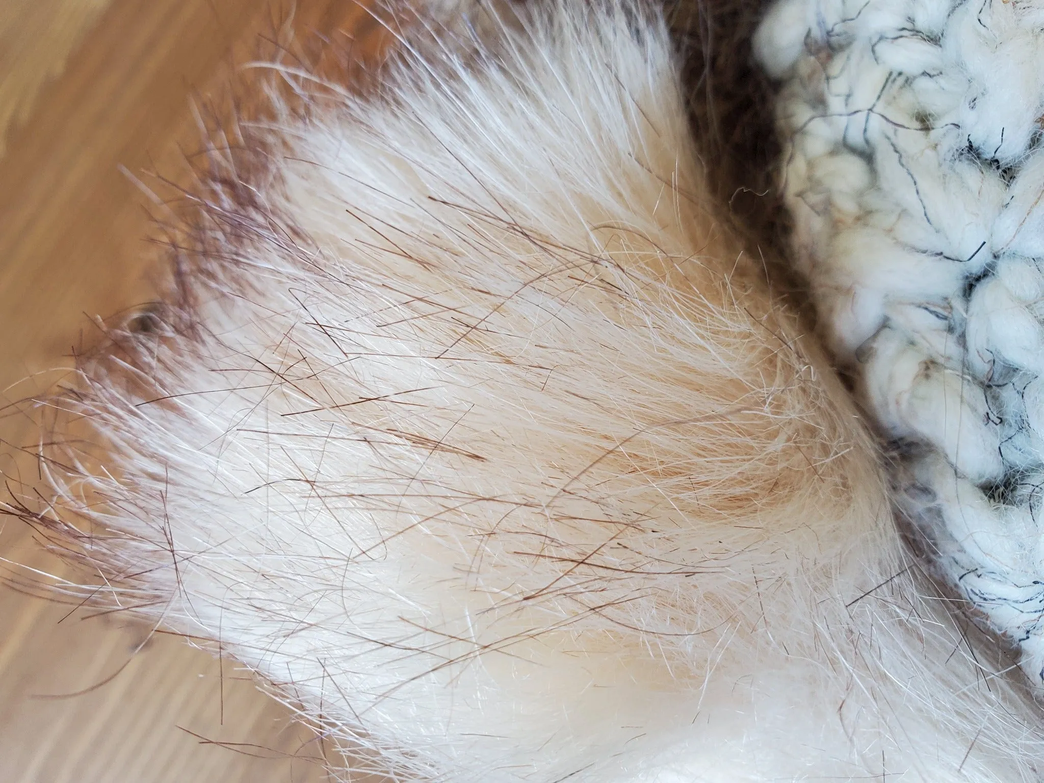 Womens Chunky Knit Beanie With Pom Pom